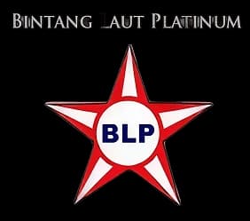 Partner 16
