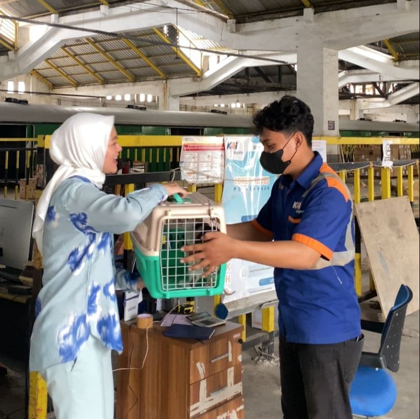 Mudik Naik Kereta Api Bawa Hewan Peliharaan? Tenang Ada KALOG Express