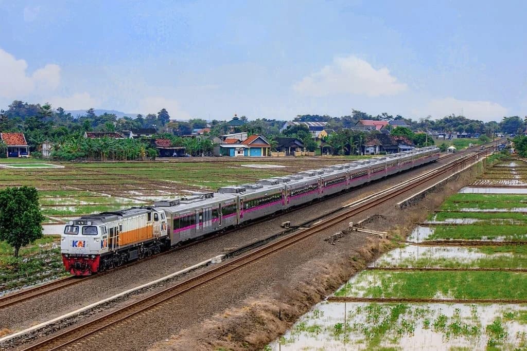 Starting October 1 2026, Argo Muria, Argo Sindoro, and Argo Merbabu to Use a Single Name: Muria Train